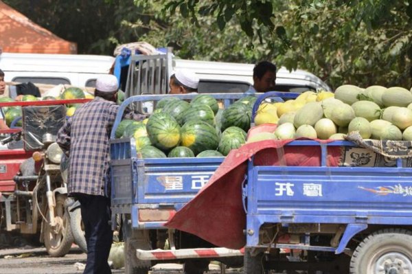 什么西瓜品种最好吃