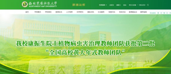 西农的985牌子有用吗