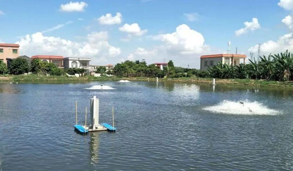 养殖水产品哪个利润高