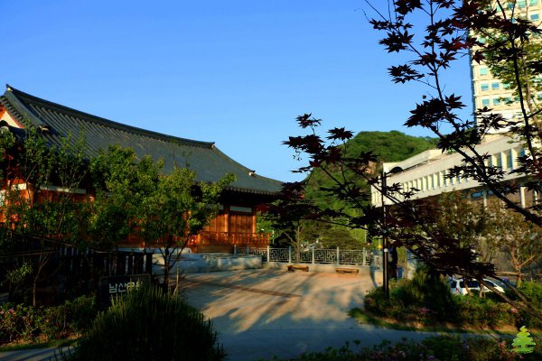 韩国首尔面积多少平方公里