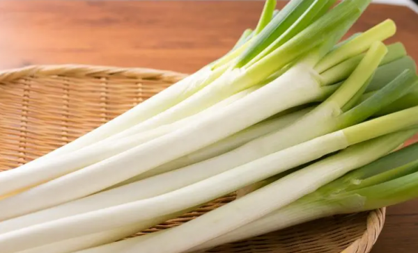 骨头汤里放什么食材好喝