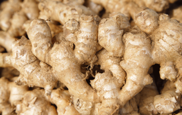 骨头汤里放什么食材好喝