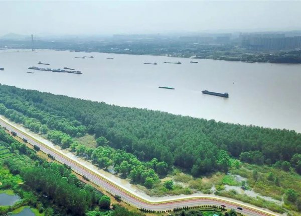 八卦洲有什么好玩的景点介绍