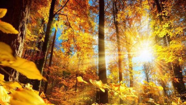 倒霉的时候怎么赶走霉运