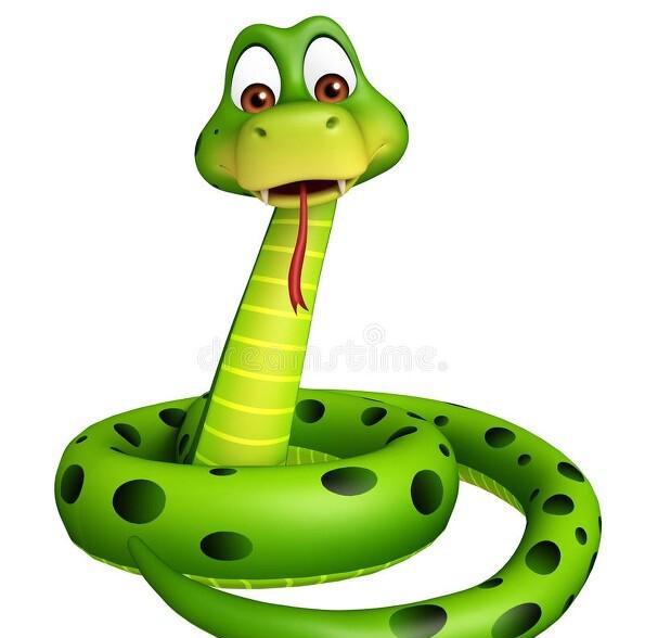 胆子最大什么都不怕的生肖