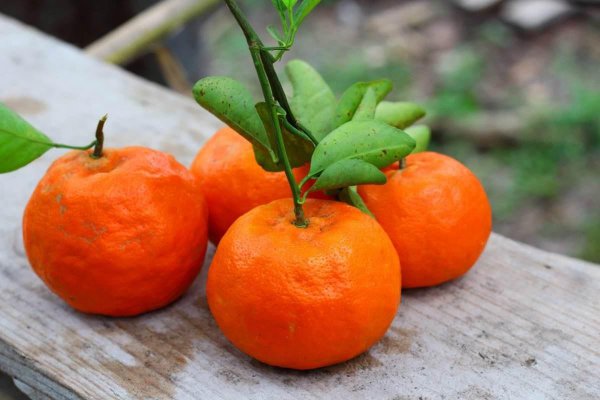 6种有喜庆寓意的水果