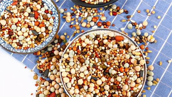 鸽子下蛋多久下第二个蛋