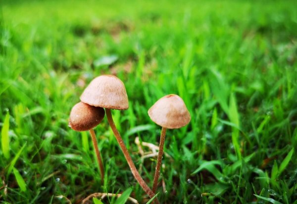 梅雨季节是几月份