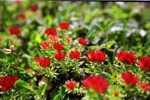 柴达木盆地位于我国的哪个高原