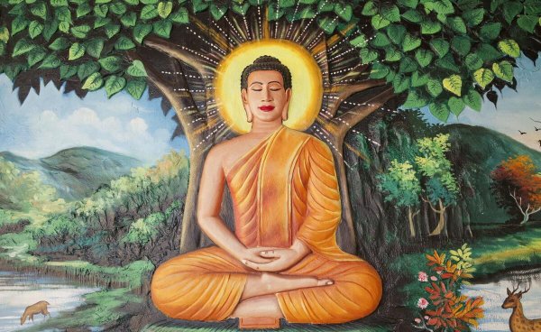 佛教的佛陀是谁