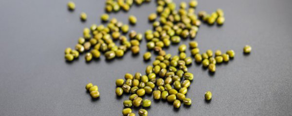 泡好的绿豆如何保鲜