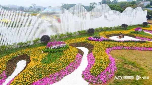 惠州网红打卡旅游景点