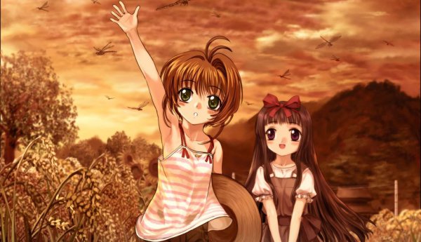 天蝎和巨蟹配对合适吗