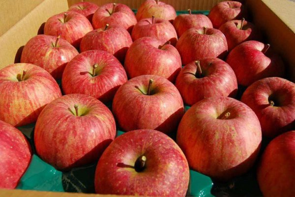 高考期间吃什么水果好