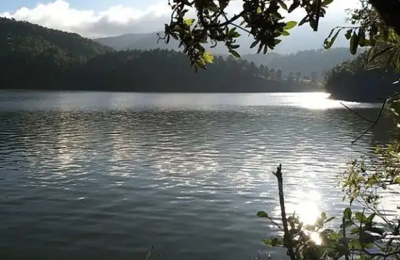 钓草鱼多少温度合适