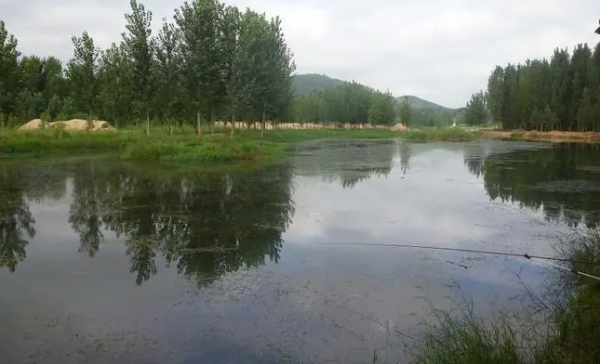 钓草鱼多少温度合适