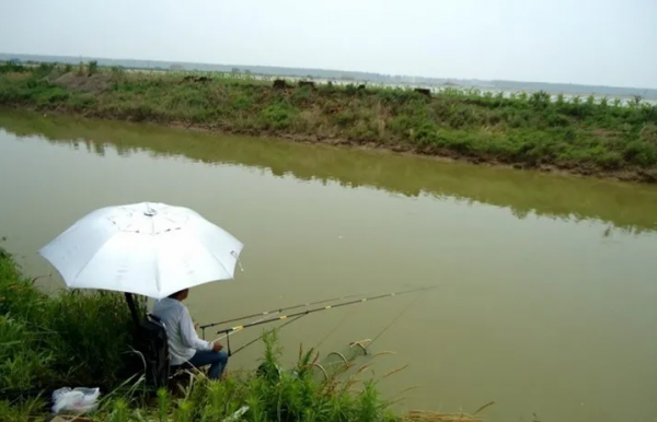 钓草鱼多少温度合适