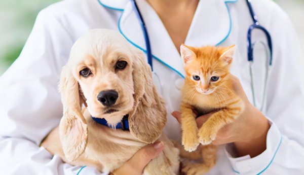 未来最稳定最吃香的十大职业