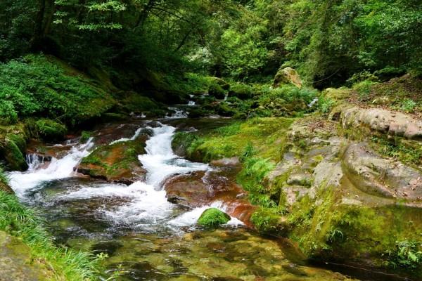 几月份上张家界旅游好
