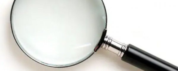 怎样识别活珠是新鲜