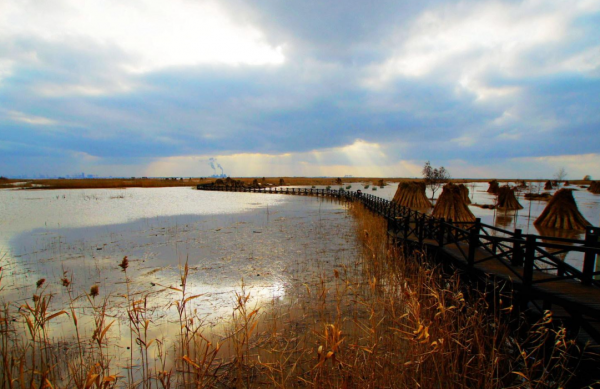 崇明是哪个省哪个市的