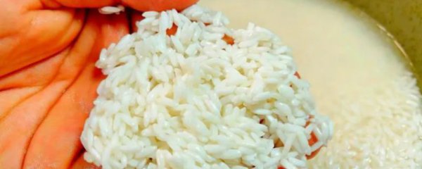 糯米洗了过夜发黄还能吃吗