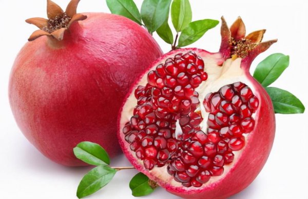 四大镇宅之树是什么树