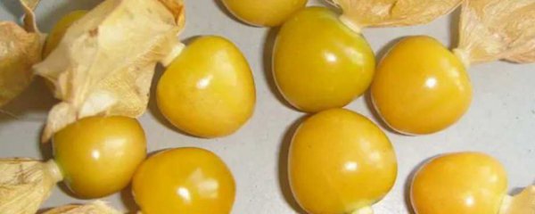 姑娘果可以直接吃吗