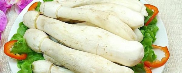 梦见挖鸡腿菇是什么意思