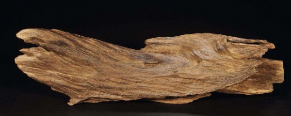 如何辨别沉香的好坏