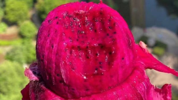 开一个小型水果店大约多少钱