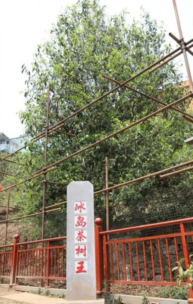 冰岛属于中国哪个省