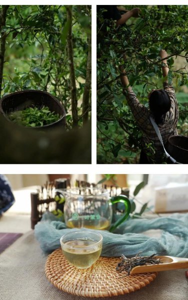 冰岛属于中国哪个省