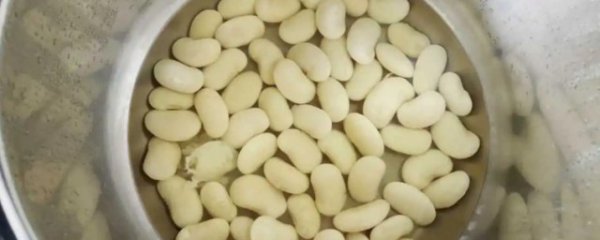吃白芸豆有什么好处