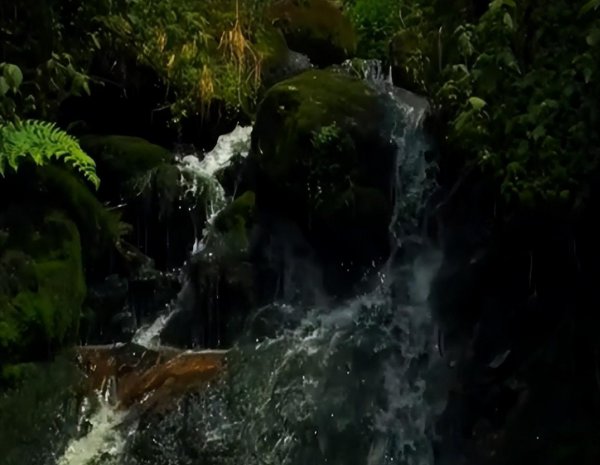 非洲最长的河流是什么河