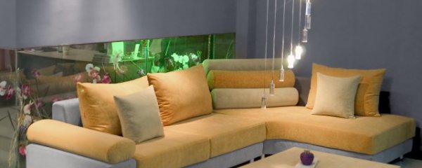 家里摆放什么物件能存住钱