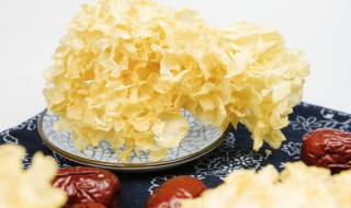 银耳怎么分辨好坏 银耳分辨好坏的方法分享