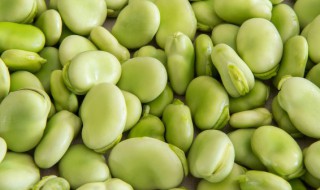 水泡好的蚕豆怎么炒好吃啊 蚕豆炒肉末的做法