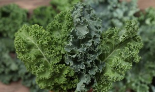 羽衣甘蓝榨汁要不要焯水 羽衣甘蓝榨汁要先焯水的吗