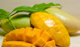 芒果怎么放可以保存时间长 芒果的保存方法