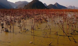 安龙有哪些景区 安龙有什么景区