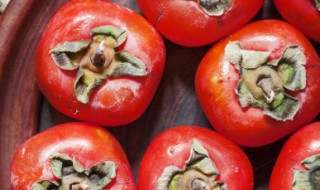 红薯可以和柿子一起吃吗 红薯可不可以和柿子一起吃