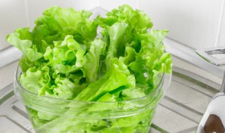 如何选购好的生菜 怎样挑选质量好的生菜呢