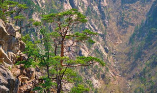 三山是指哪三山呢 三山的含义
