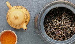 野生红茶如何泡 野生红茶的正确泡法