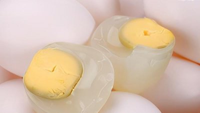 鸽子下蛋多久下第二个蛋 鸽子的两枚蛋间隔多长时间