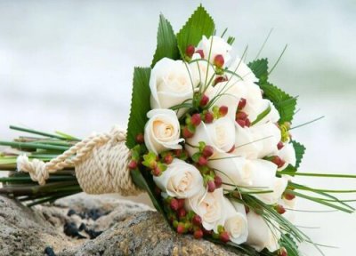 白玫瑰花语 白玫瑰的花语和寓意