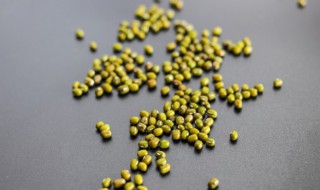 泡好的绿豆如何保鲜 怎么保存泡好的绿豆