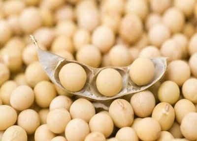 大豆一年可以种几次 种植几个月可以成熟收获