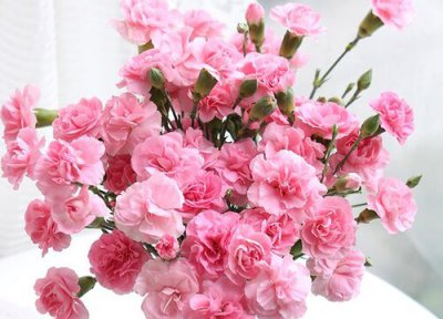 买回来的花束如何保养更久 鲜花店刚买到的花束怎么养活